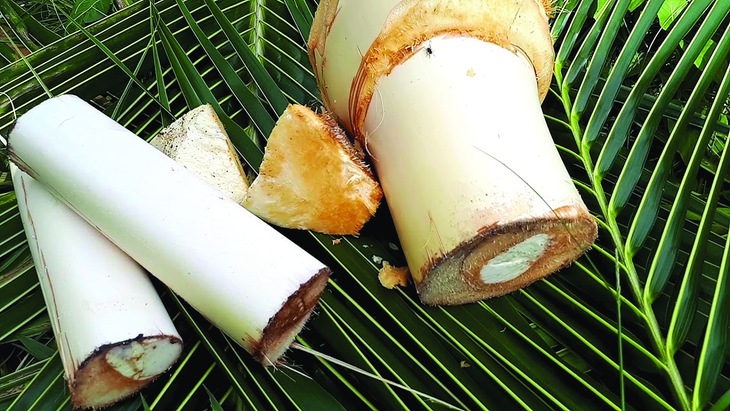 Đặng Phong thực phả (hay những công thức nấu ăn độc đáo của một sử gia kinh tế) - Ảnh 2.