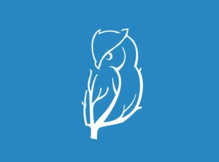 quiz - Ảnh 1.