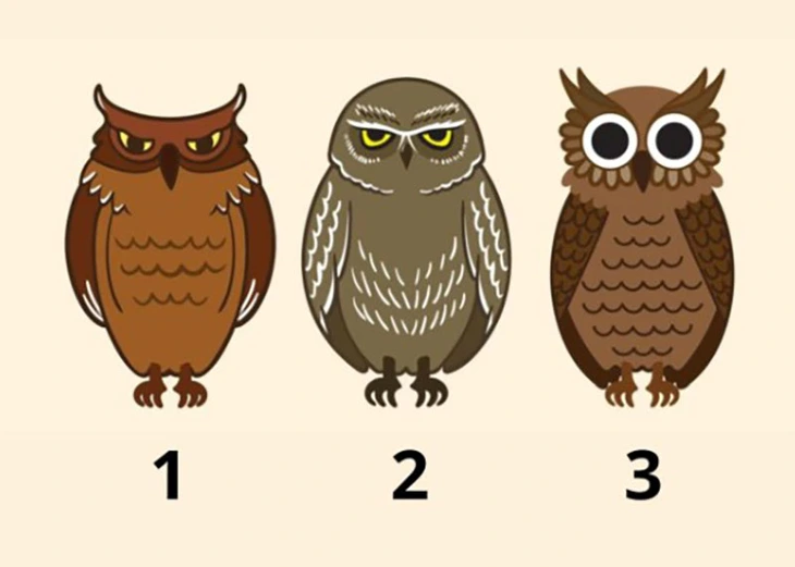 quiz - Ảnh 1.