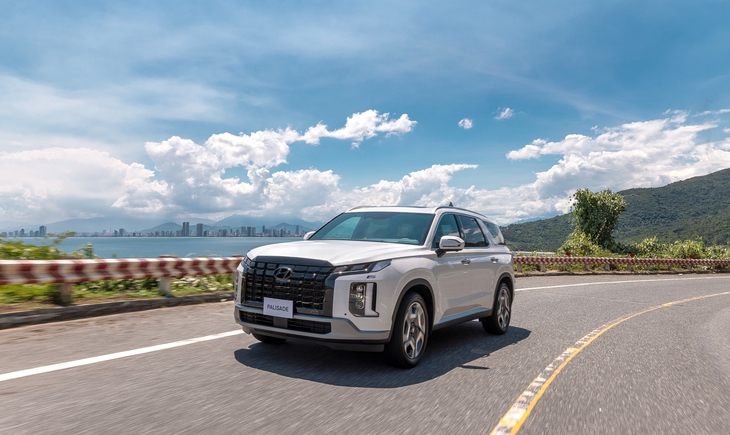 Hyundai Palisade - Ảnh 1.