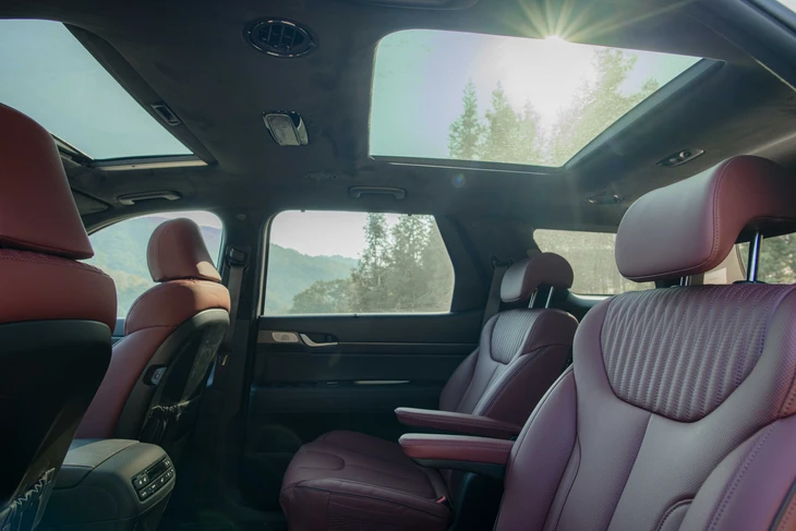 Hyundai Palisade - Ảnh 3.