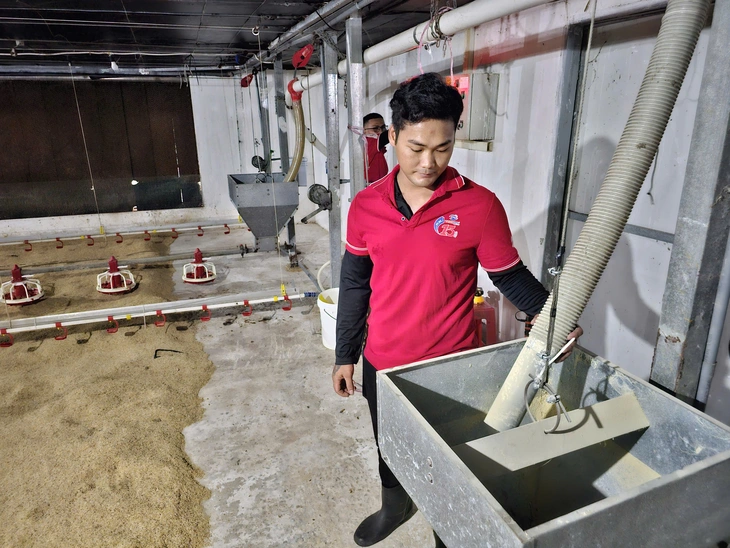 Cánh đồng xanh - Ảnh 3.