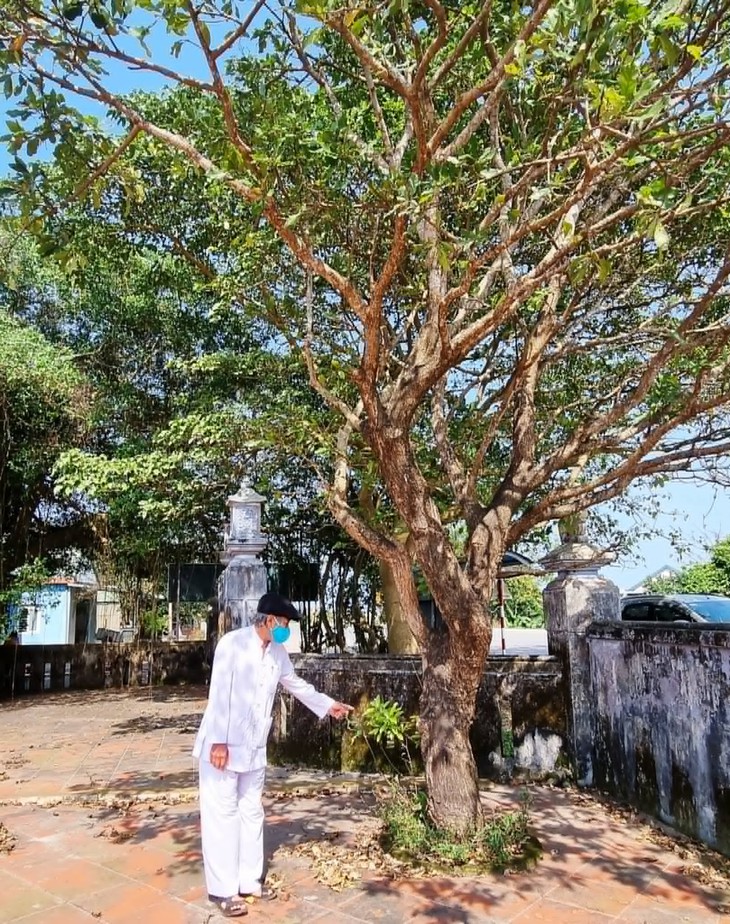 cổ vật - Ảnh 3.