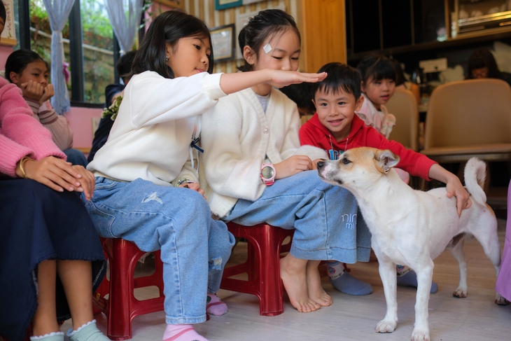 ô cửa sách - Ảnh 2.
