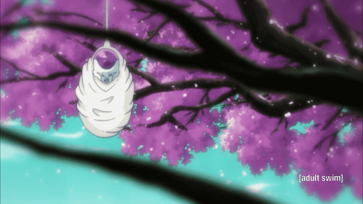 dragon ball - Ảnh 3.