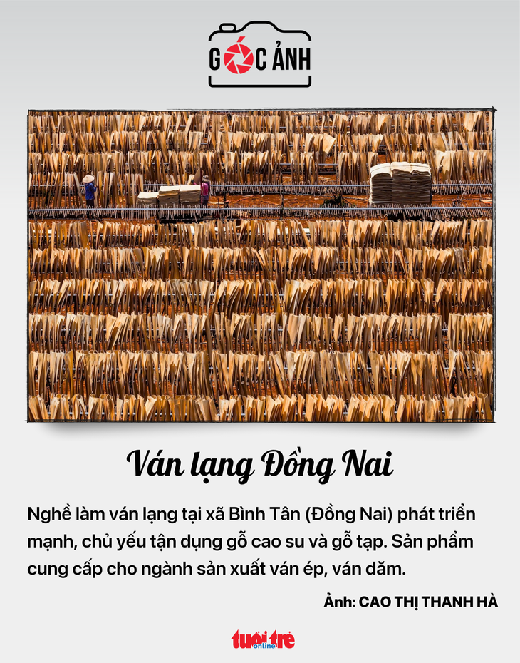tin tức - Ảnh 7.
