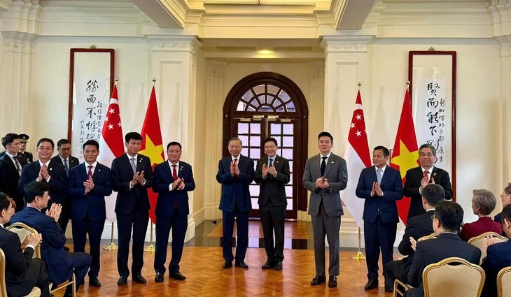 TP.HCM thêm khu công nghiệp VSIP 4 quy mô 750 ha - Ảnh 1. VSIP - Ảnh 1.
