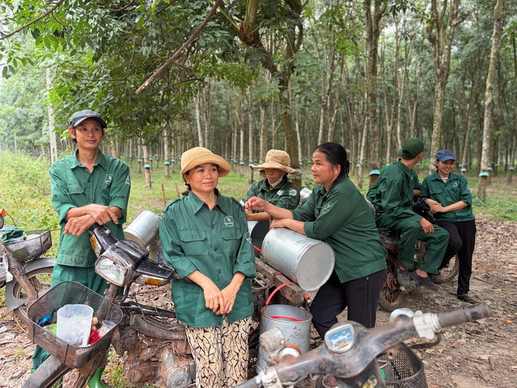 Công ty Cổ phần cao su Tây Ninh - Ảnh 1.
