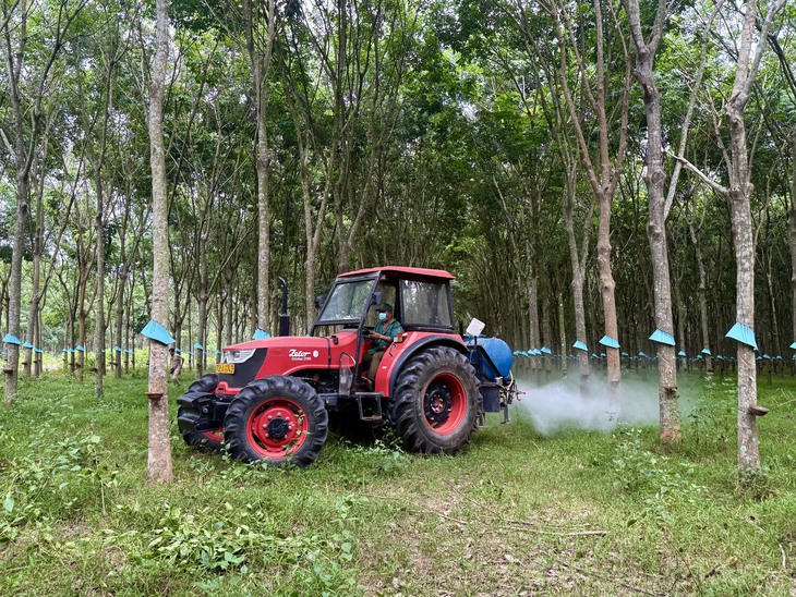 Công ty Cổ phần cao su Tây Ninh - Ảnh 3.