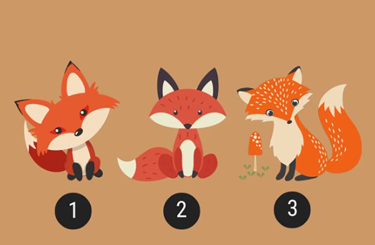 quiz - Ảnh 1.