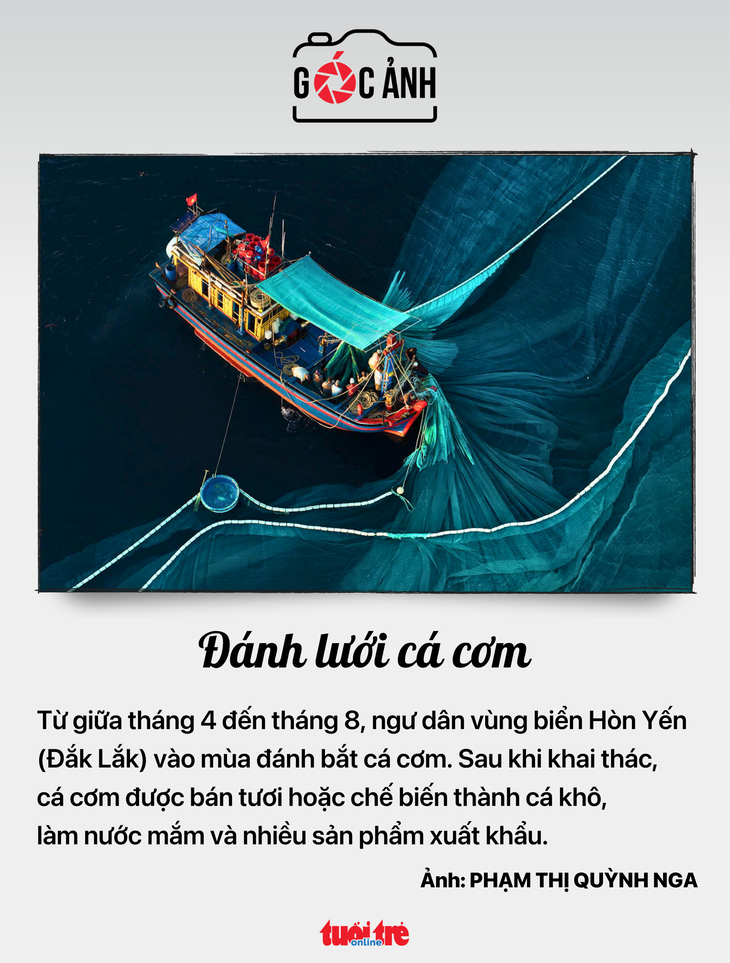 tin tức - Ảnh 6.