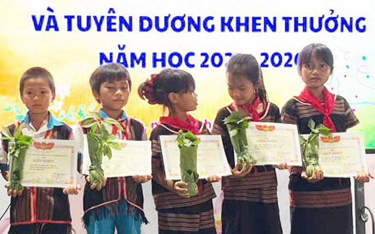 Đà Nẵng chuẩn bị cho Lễ hội Sâm Ngọc Linh và Dược liệu quốc tế 2026  - Ảnh 3.