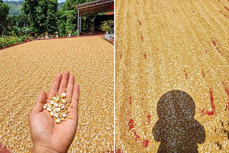 nổ thành bỏng - Ảnh 2.