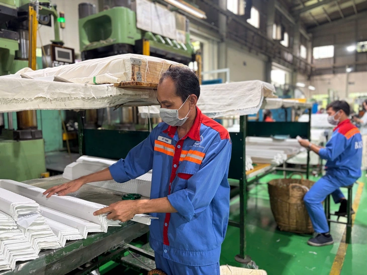 Công ty Cổ phần Cao su Bến Thành - Ảnh 5.