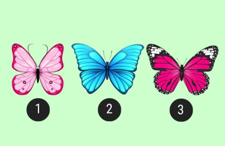 quiz - Ảnh 1.