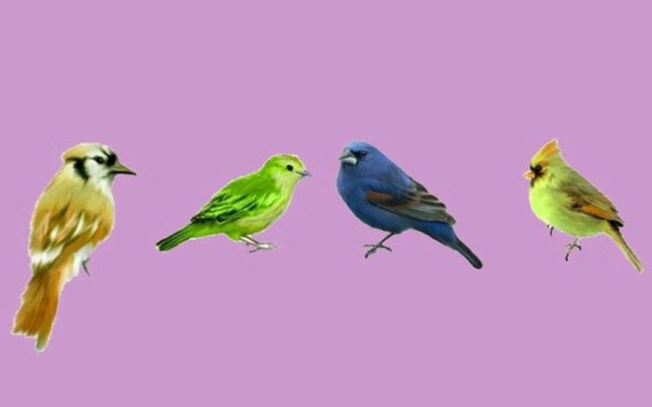 Quiz: Bạn quyết đoán, sáng tạo hay giản dị, lạc quan? - Ảnh 3.