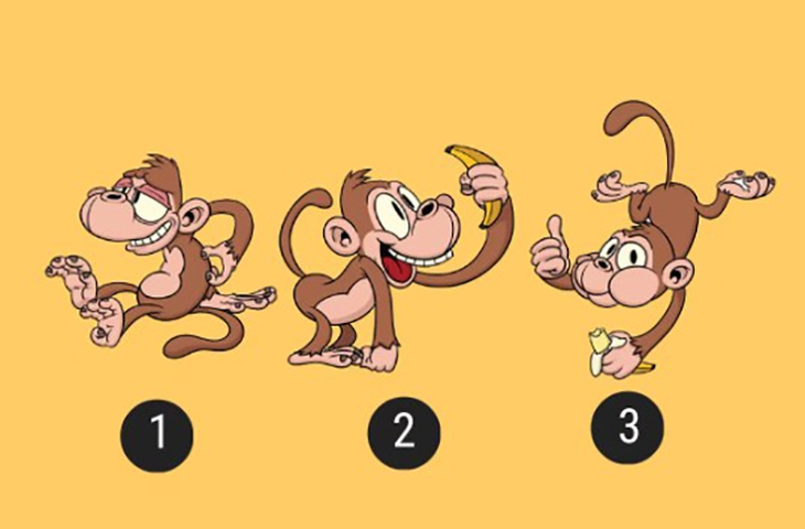 quiz - Ảnh 1.