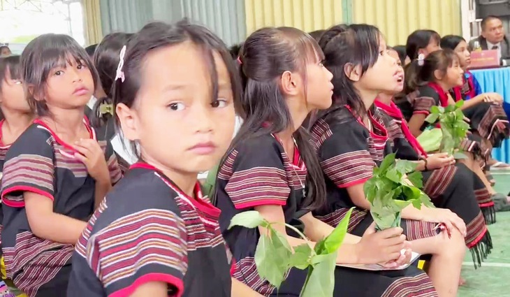 sâm Ngọc Linh - Ảnh 2.