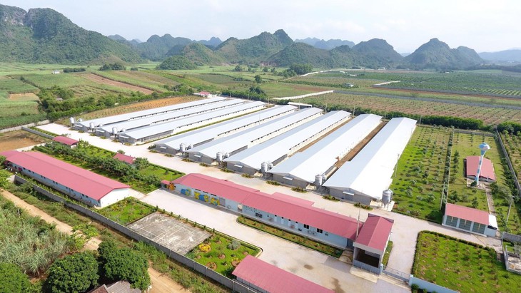 Đẩy mạnh ứng dụng AI trong quản trị chuỗi nông nghiệp - thực phẩm Việt Nam - Ảnh 4.