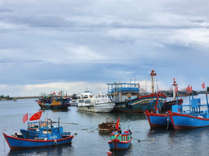 Tàu khách bạc tỉ thành đống sắt vụn giữa vũng neo đậu Lý Sơn - Ảnh 5.