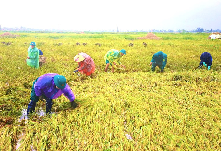 dông lốc - Ảnh 2.