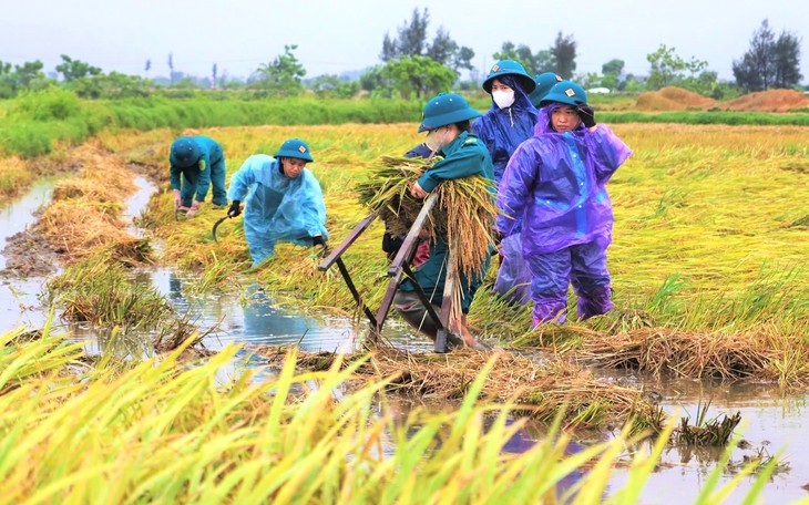 Đem các khối bê tông chắn giữa đường ở TP.HCM mà không có cảnh báo - Ảnh 3.