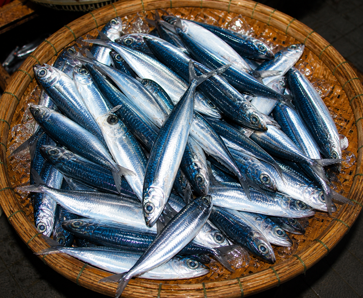 Về ghềnh đá Bàn Than ăn cá chuồn nướng than - Ảnh 5.