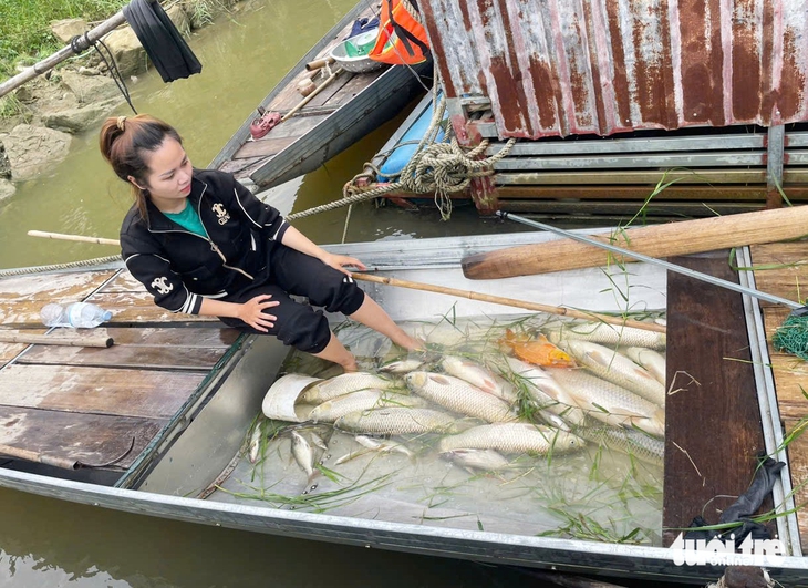 Hàng tấn cá nuôi lồng bè trên sông Lam chết trắng - Ảnh 1.