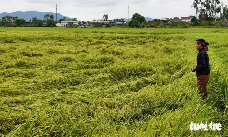dông lốc - Ảnh 8.