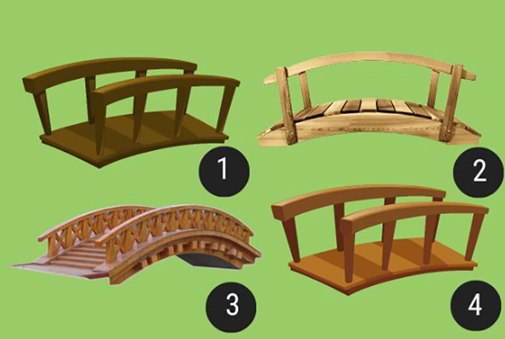 quiz - Ảnh 1.