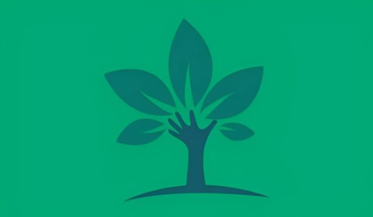 quiz - Ảnh 1.