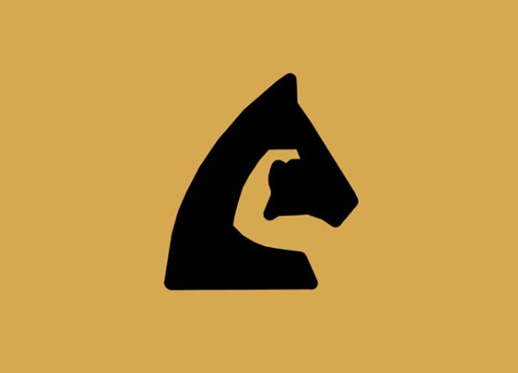 quiz - Ảnh 1.