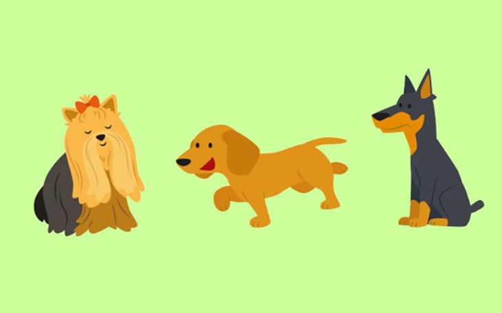 Quiz: Bạn nổi bật với phẩm chất gì? - Ảnh 3.