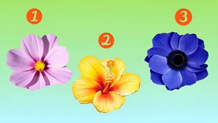 quiz - Ảnh 1.