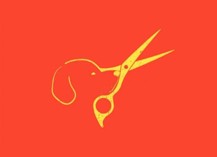 quiz - Ảnh 1.