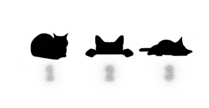 quiz - Ảnh 1.