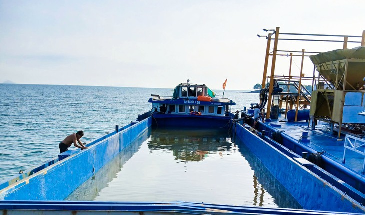 Hải Tặc - Ảnh 3.