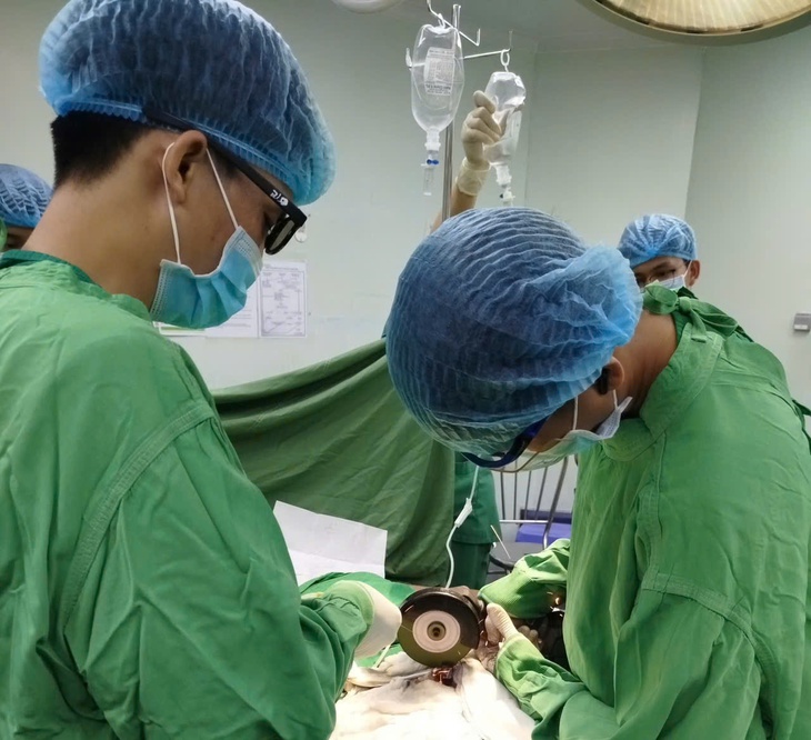 dương vật - Ảnh 1.