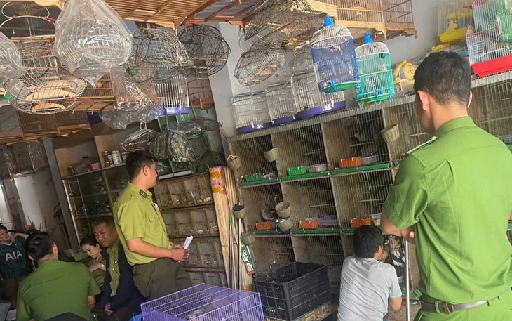 Tạm giữ 4 con cầy vòi hương và 28 con chim không có giấy tờ, hồ sơ hợp pháp - Ảnh 3.