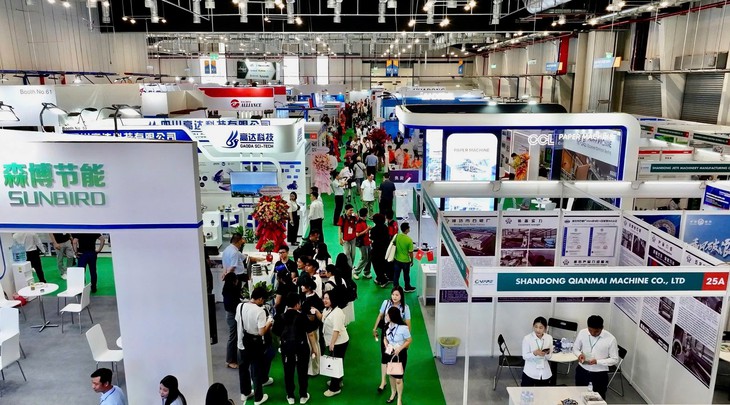 Giấy, bao bì - Ảnh 1.