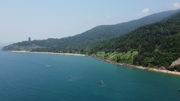 Sơn Trà - Ảnh 1.