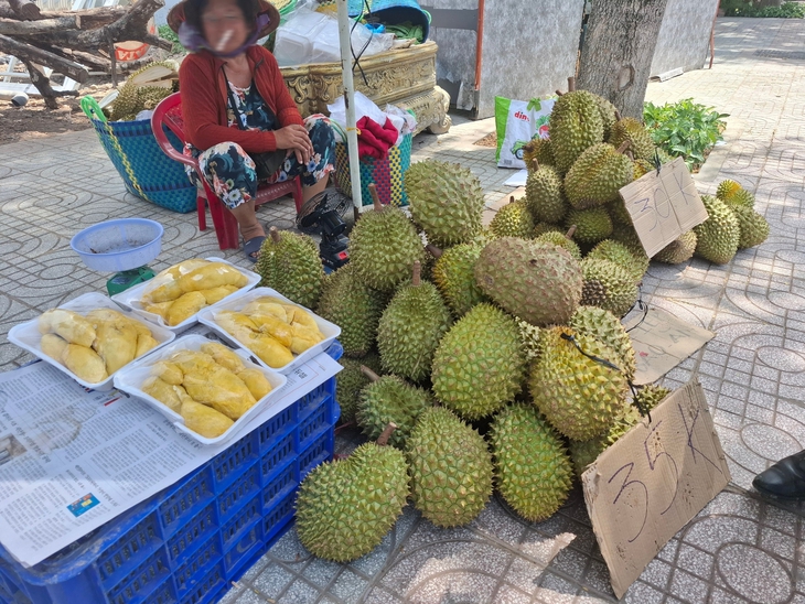 sầu riêng giá rẻ - Ảnh 1.