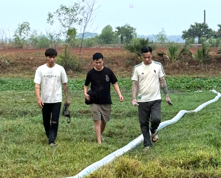 việc online - Ảnh 1.