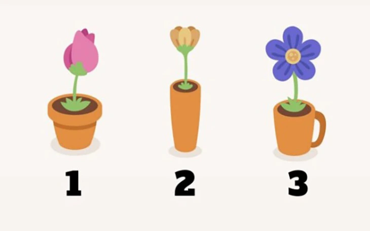 Quiz: Bạn sáng tạo hay là người không ngại thử thách? - Ảnh 4.