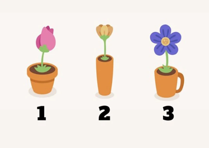 quiz - Ảnh 1.