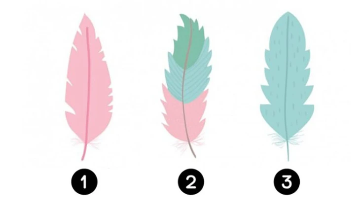 quiz - Ảnh 1.