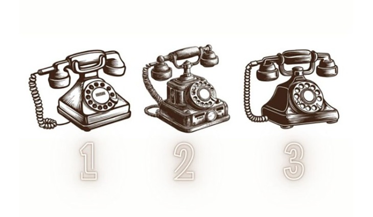 quiz - Ảnh 1.