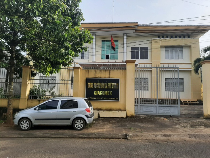 cà phê Gia Lai - Ảnh 1.