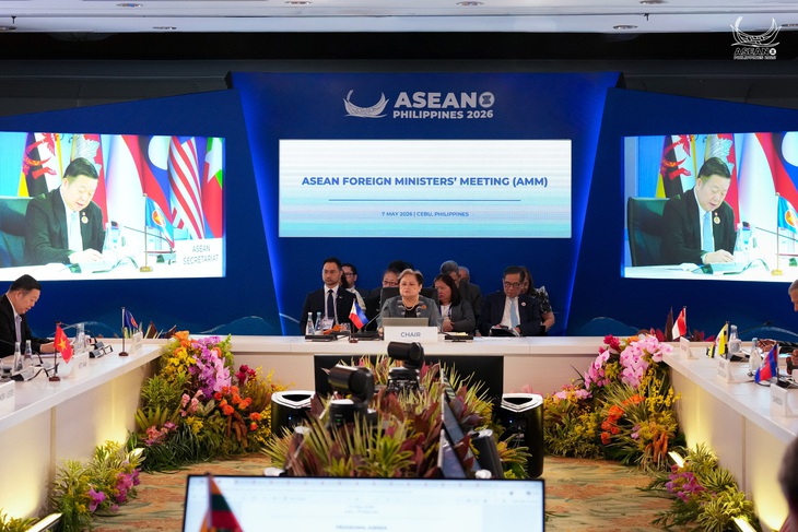 ASEAN ủng hộ sáng kiến của Việt Nam tại Hội nghị cấp cao 48 - Ảnh 2.
