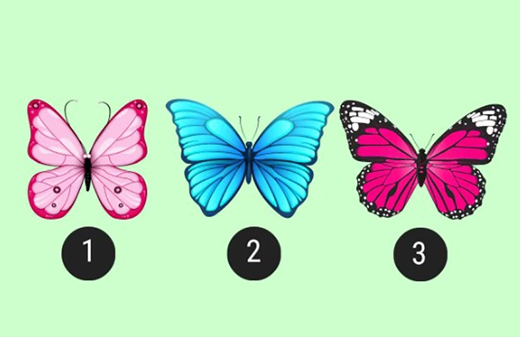 quiz - Ảnh 1.